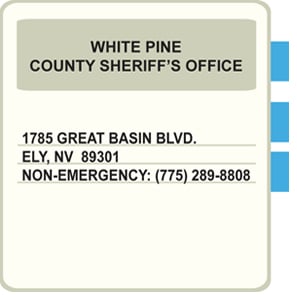 card-white-pine
